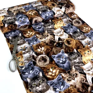 Cats by Michael Searle Natural