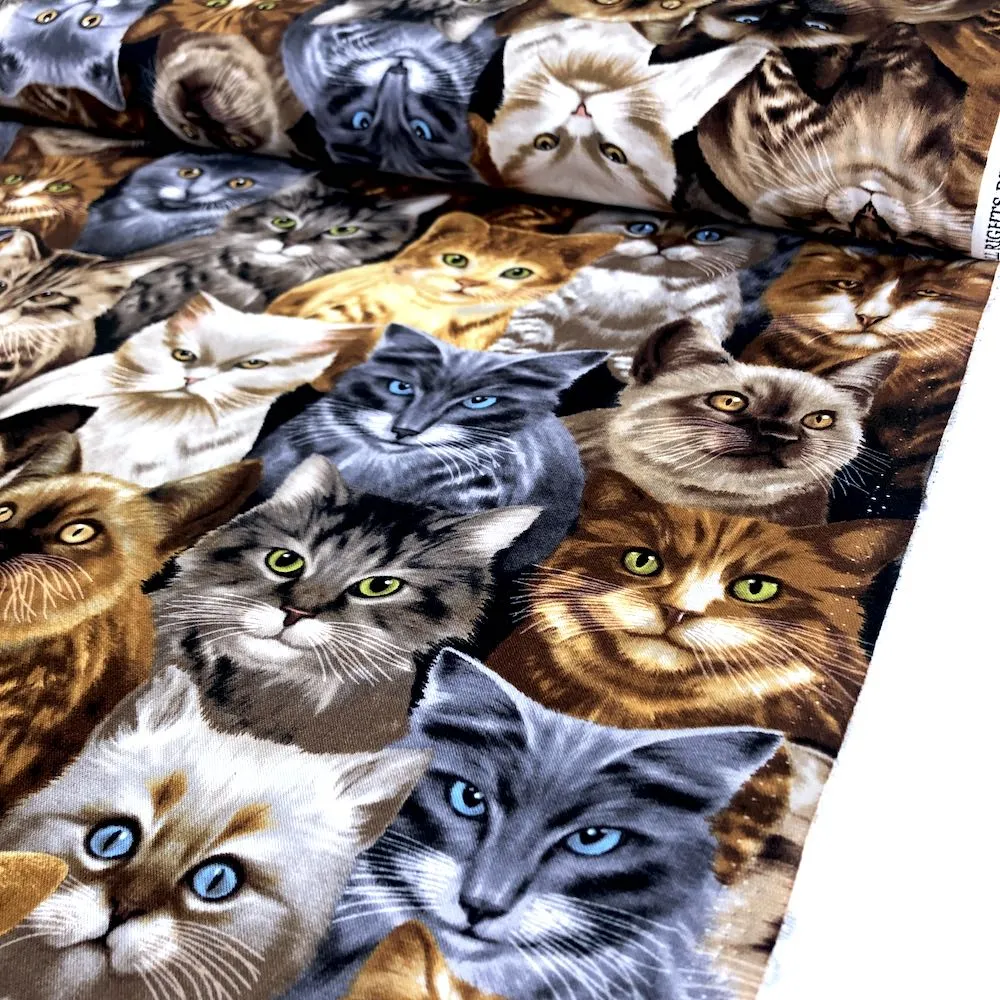 Cats by Michael Searle Natural