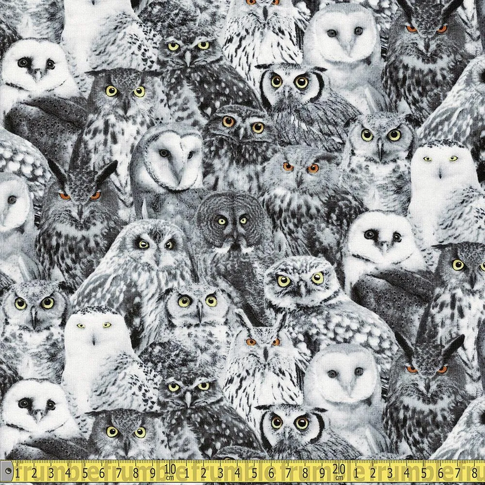 Packed Owls Black