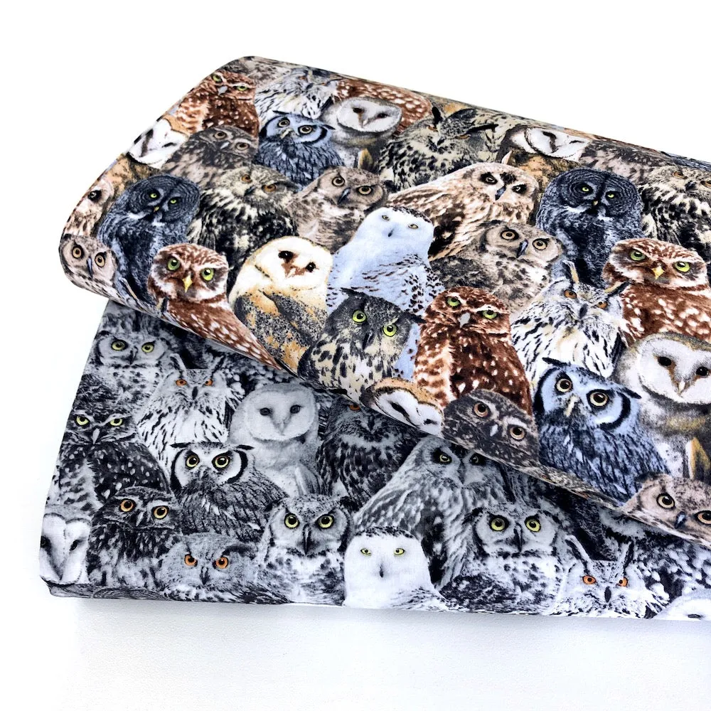 Packed Owls Black