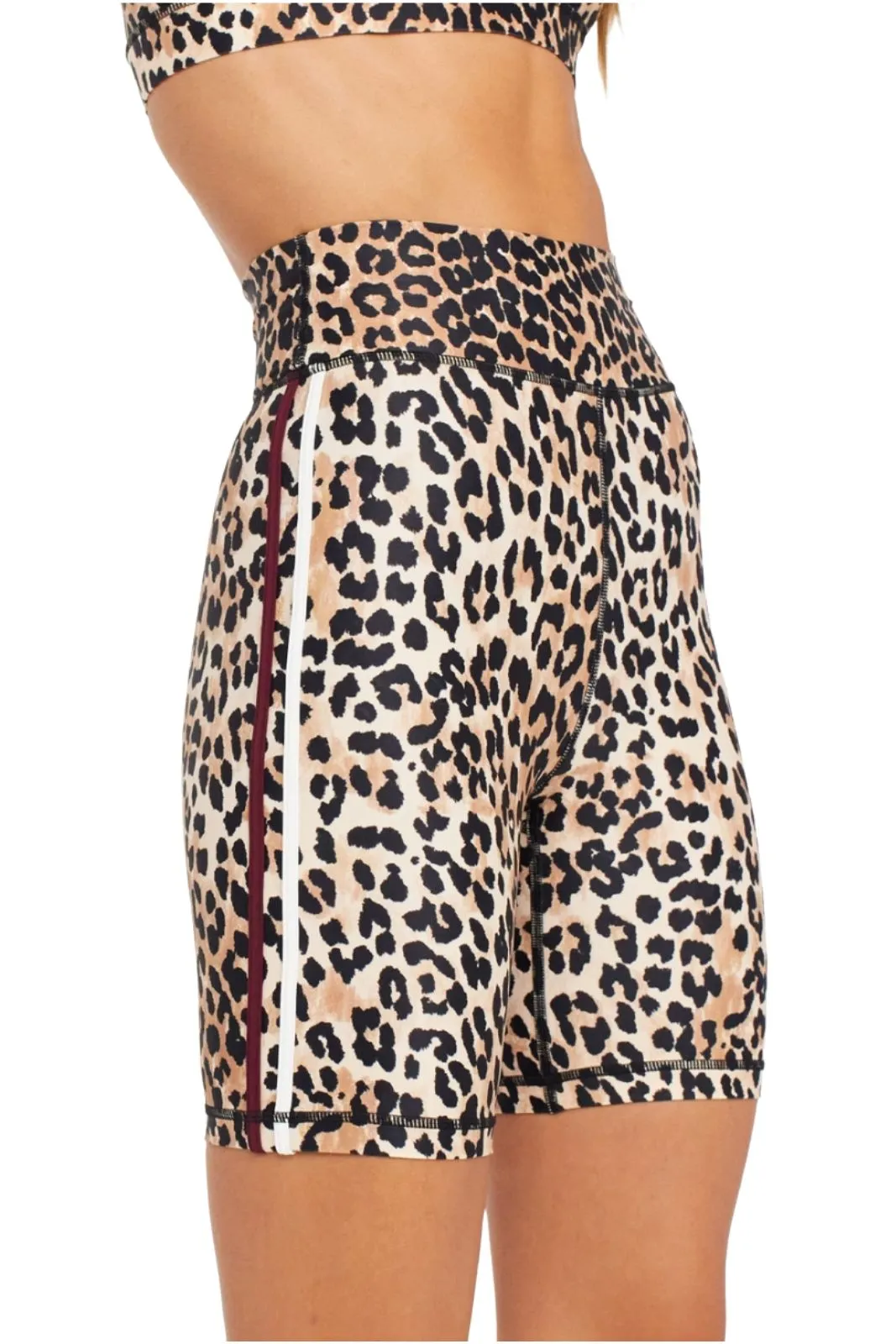 Sheba Dance Spin Short, Animal
