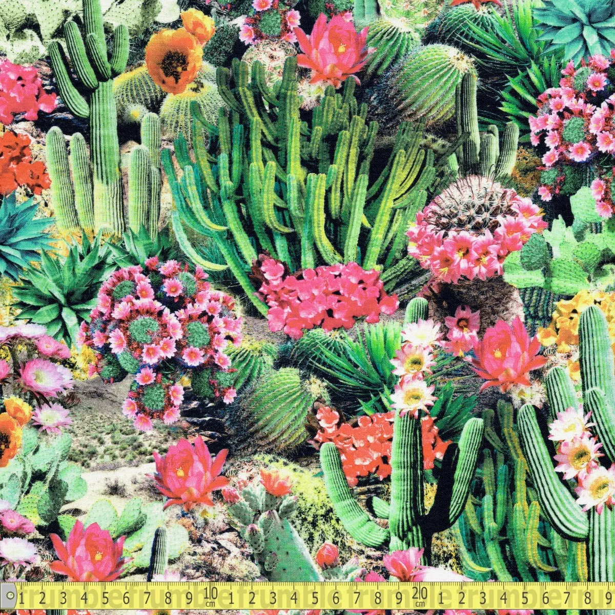 Timeless Treasures - Cactus Flowers Bloom - Multi