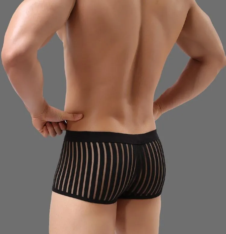 Underwear Mens Boxers Breathable U Convex Crotch Boxers Transparent